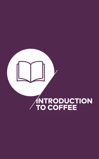 SCA - Introduction to Coffee